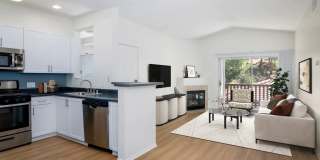 Skyview Gallery 18