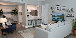 Palms of Clearwater Gallery 31