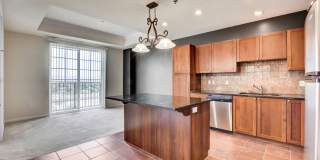 Boca Raton Gallery 52