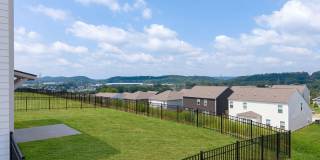 Alden North Knoxville Gallery 83