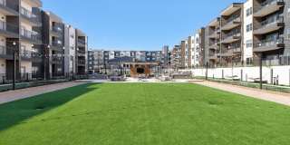 The Amber Gallery 21