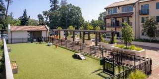 Springline Menlo Park Gallery 10