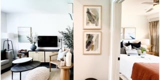 Santa Monica Palms Gallery 4