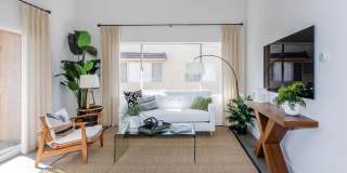 Park Sierra Gallery 54