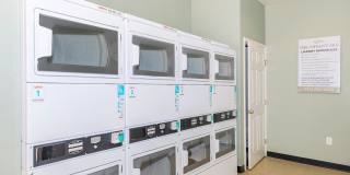 Tiffany II Gallery 14