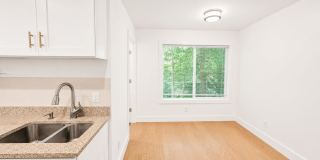 Black Mountain Garage Apartment- One occupant only! 6 Month Lease! Gallery 9