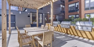 The Hazel Gallery 10