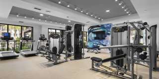 Arabelle Clearwater Gallery 37