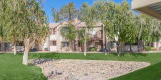 Morrison in Mesa Gallery 18