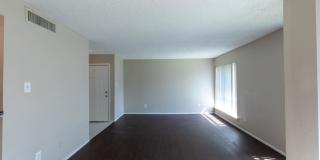 Woods of Spring Grove Gallery 40