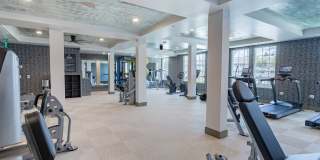 Bayswater Gallery 21