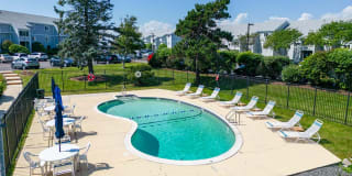 Bass Point Gallery 1