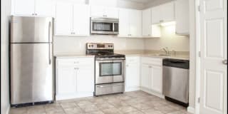 Mill Street Gardens Gallery 4