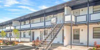 Balfour 296 Gallery 18