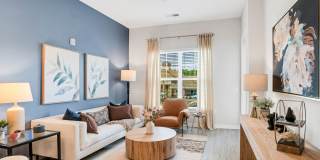 The Aster Gallery 45