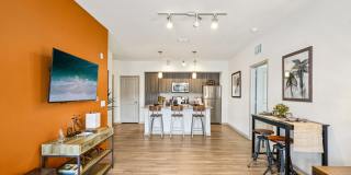Park Avenue Apartments Gallery 25