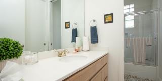 48200 Via Solana Gallery 13