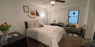 1609 Sydenham Gallery 100