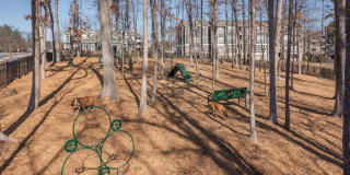 Ashton Reserve At Northlake Gallery 20