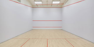 The Ashley Gallery 27