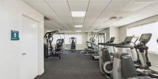 The Lafayette Gallery 9