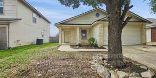 14211 Yellow Warbler Gallery 14