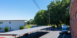 Dolphin Apartments Gallery 35