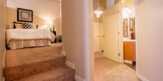 Sycamore Place Gallery 7