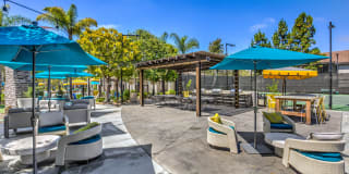 Signature Point Gallery 25