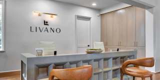 Livano at Town Madison Gallery 23