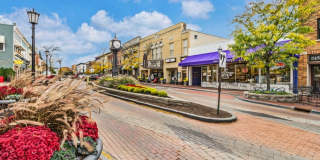 Hines Park Place Apartments Gallery 4