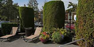 Waterford Gallery 9