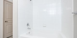 RIZE at Winter Springs Gallery 84