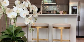 Aurora on the Trail - Apartments & Townhomes Gallery 6