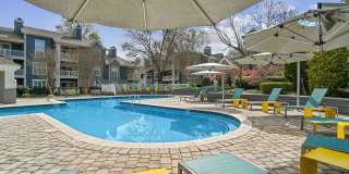 Cameron South Park Gallery 1