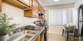 Cavalier Club Gallery 7