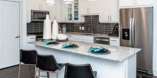 Alexan Lower Greenville Alexan Lower Greenville Gallery 15