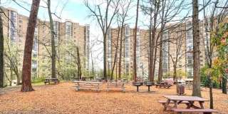 5903 MOUNT EAGLE Drive Gallery 1