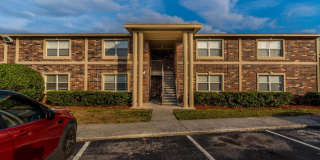 Sea Oats Sea Oats Gallery 24