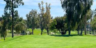 5252 Orange Avenue #611 Gallery 24