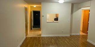 No Fee Spaciuos 1st Floor 2 Bed  Lead free Laundry, Parking Available or street Gallery 1