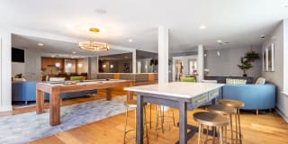 Valley and Bloom Gallery 15