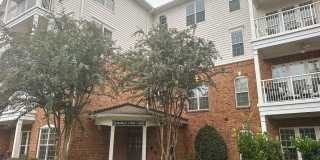 11504 Costigan Lane Gallery 1