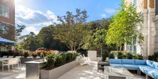 Village Square Gallery 41