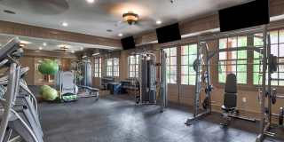 Avonlea Tributary Gallery 27