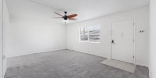 339 Joel Boulevard Gallery 2