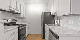 The Modern Gallery 5