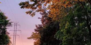 20969 KITTANNING Lane Gallery 24