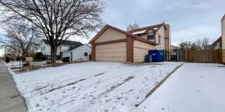 Renovated 3 bedroom 2 bathroom home in quiet Arvada neighborhood! Gallery 40