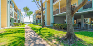 Pirates Landing Gallery 48